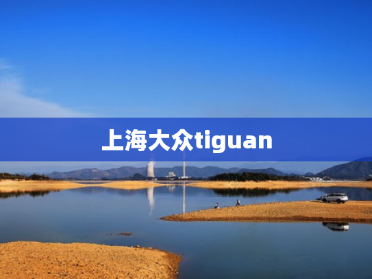 上海大众tiguan