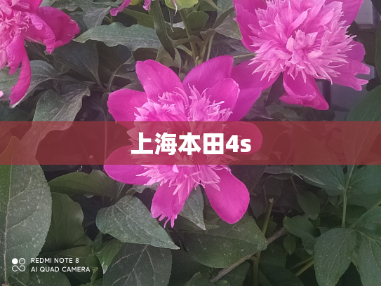 上海本田4s
