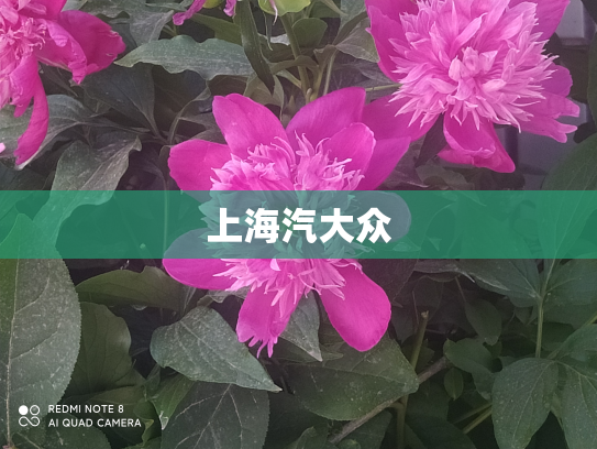 上海汽大众