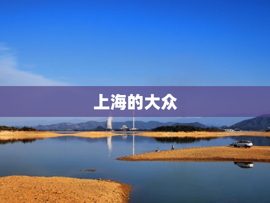 上海的大众