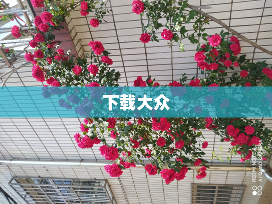 下载大众