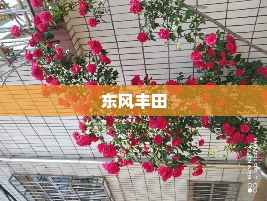 东风丰田