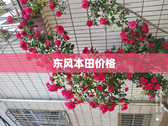 东风本田价格