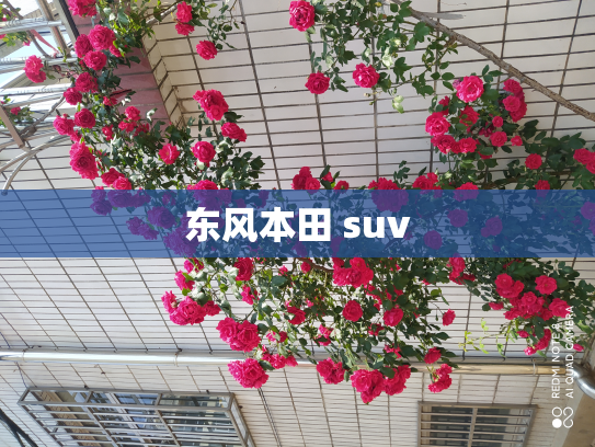 东风本田 suv