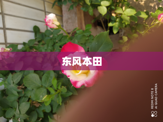 东风本田