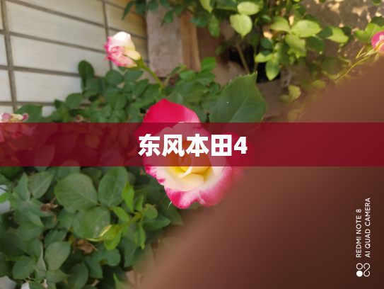 东风本田4