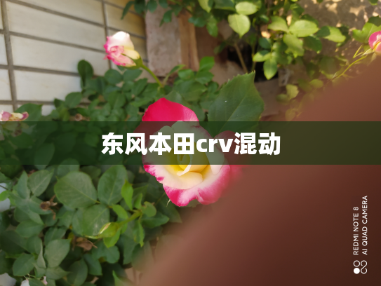 东风本田crv混动