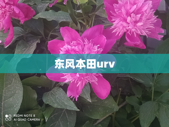 东风本田urv