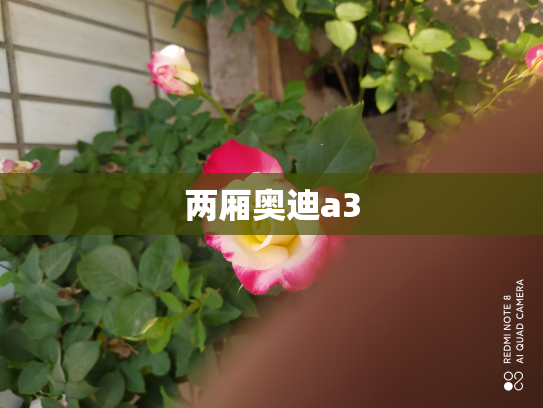 两厢奥迪a3