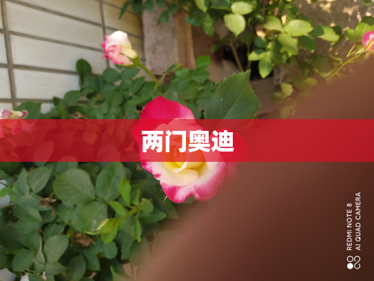 两门奥迪