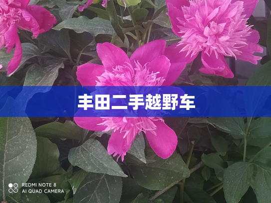 丰田二手越野车