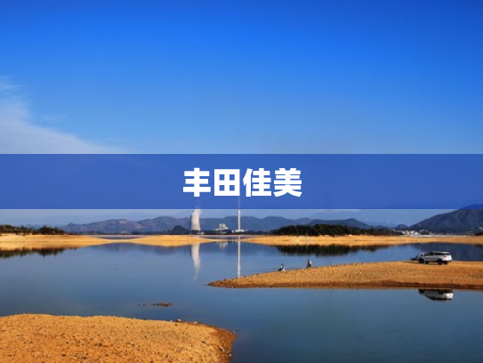 丰田佳美