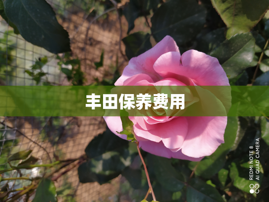 丰田保养费用