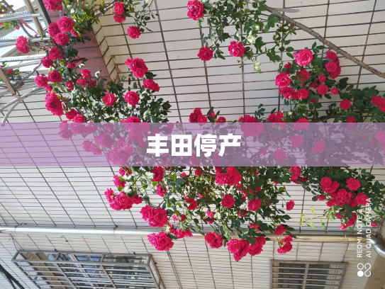 丰田停产
