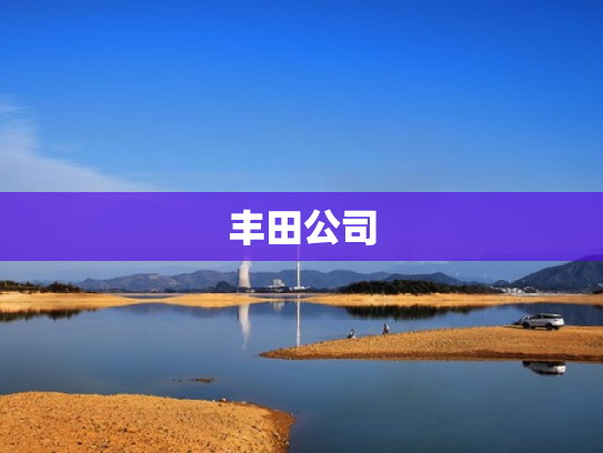 丰田公司