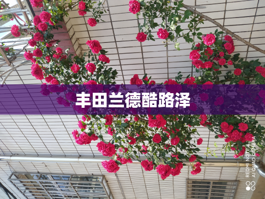 丰田兰德酷路泽