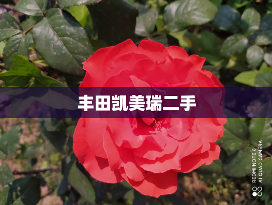 丰田凯美瑞二手