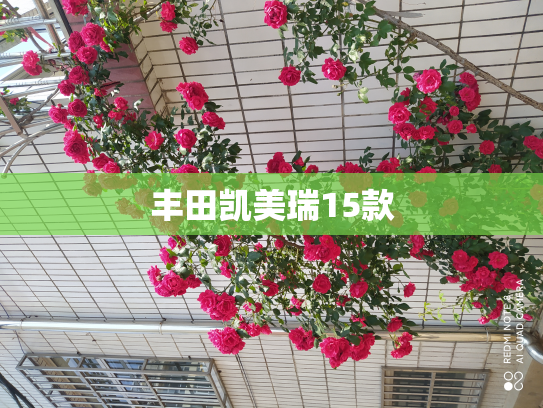 丰田凯美瑞15款