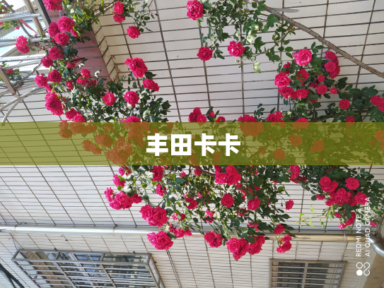 丰田卡卡