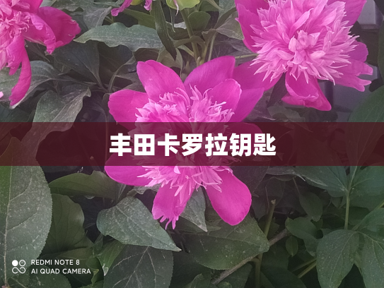丰田卡罗拉钥匙