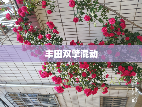 丰田双擎混动