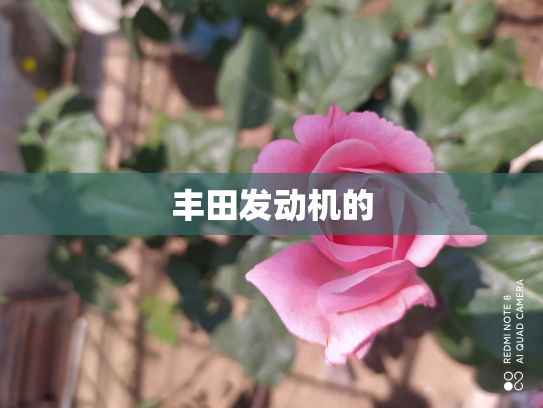丰田发动机的