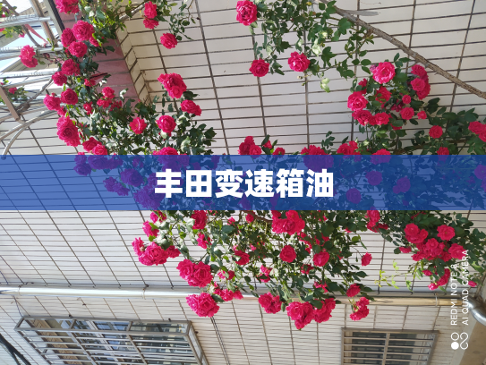 丰田变速箱油