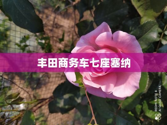 丰田商务车七座塞纳