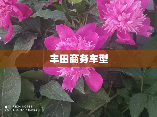 丰田商务车型