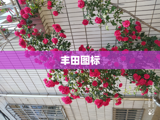 丰田图标