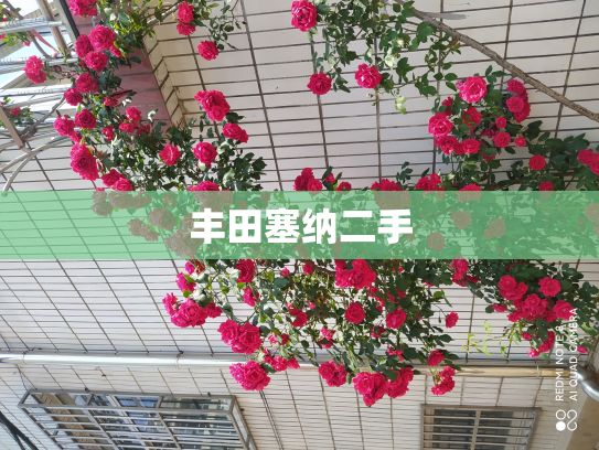 丰田塞纳二手