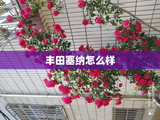 丰田塞纳怎么样