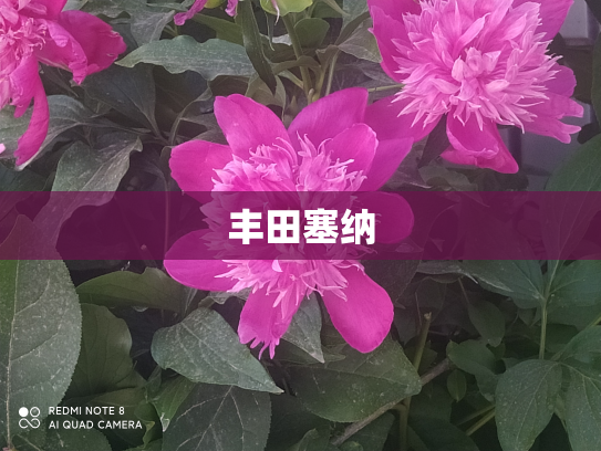 丰田塞纳