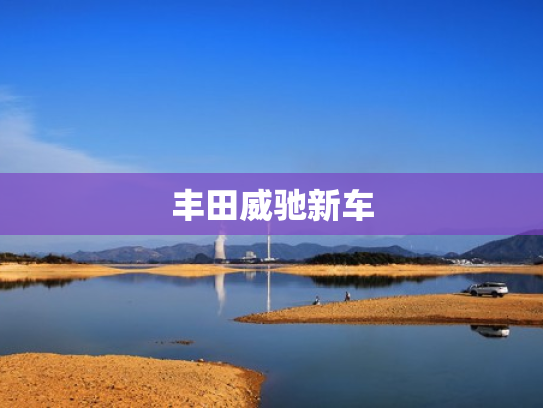 丰田威驰新车