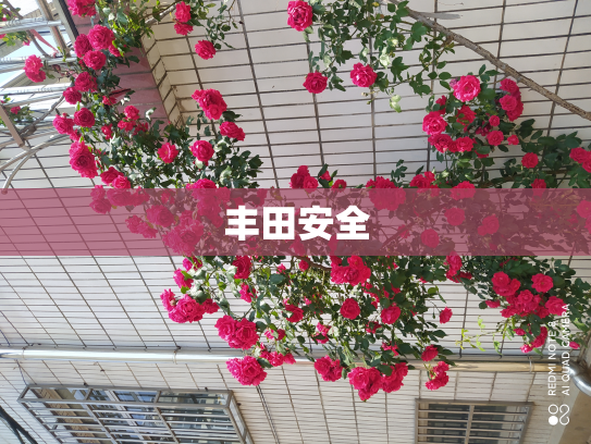 丰田安全