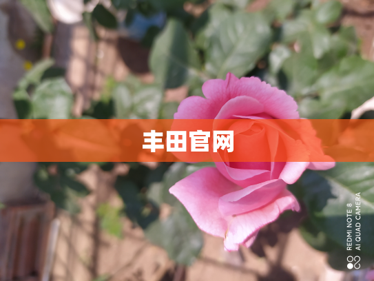 丰田官网