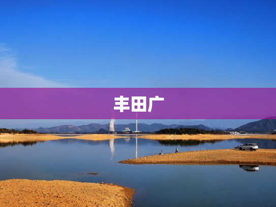 丰田广