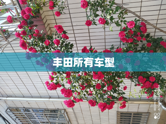 丰田所有车型