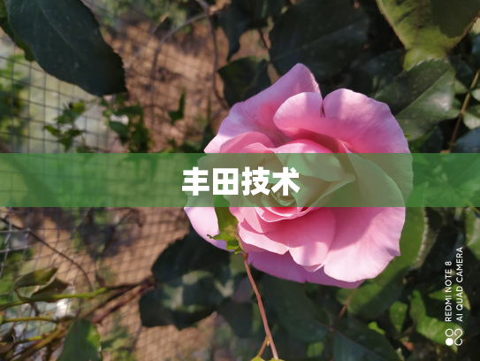 丰田技术