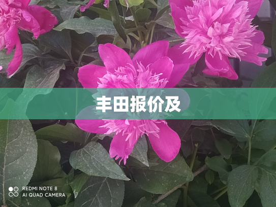 丰田报价及