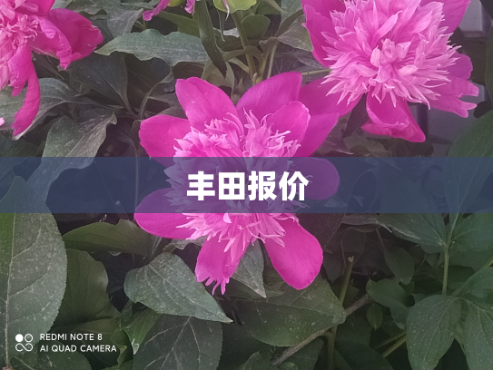 丰田报价