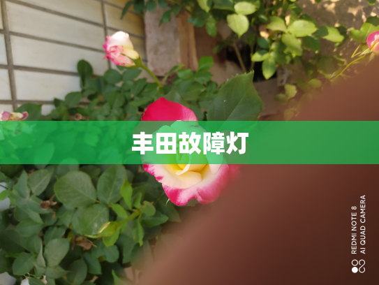 丰田故障灯