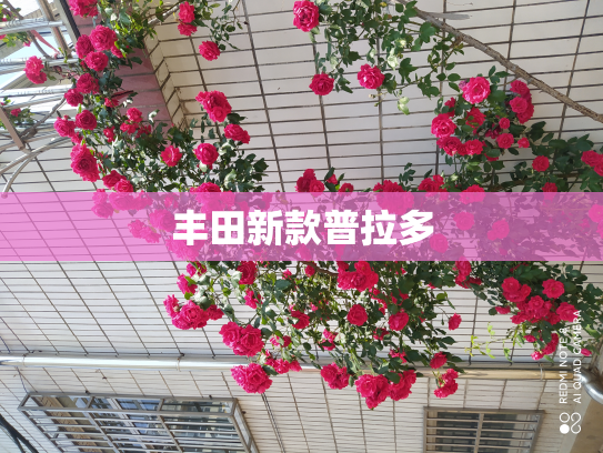 丰田新款普拉多