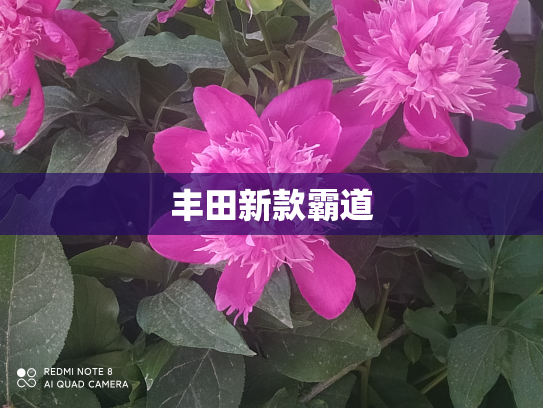 丰田新款霸道