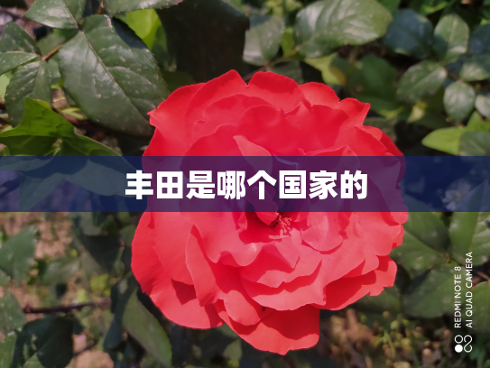 丰田是哪个国家的