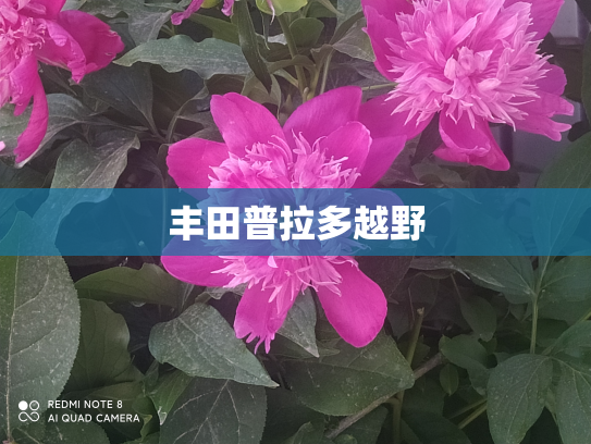 丰田普拉多越野