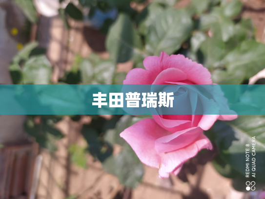 丰田普瑞斯