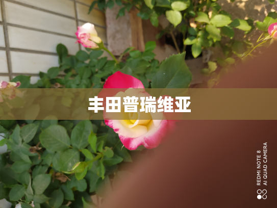 丰田普瑞维亚