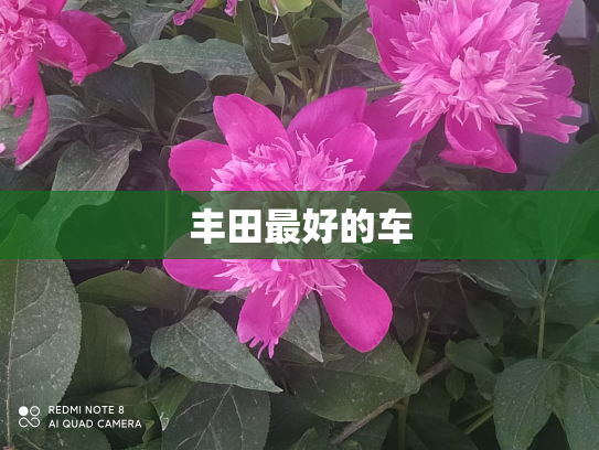 丰田最好的车