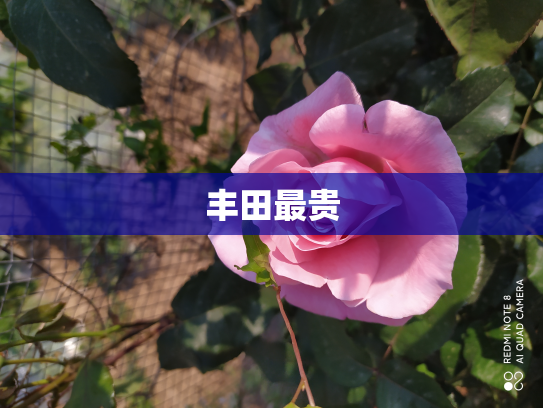 丰田最贵